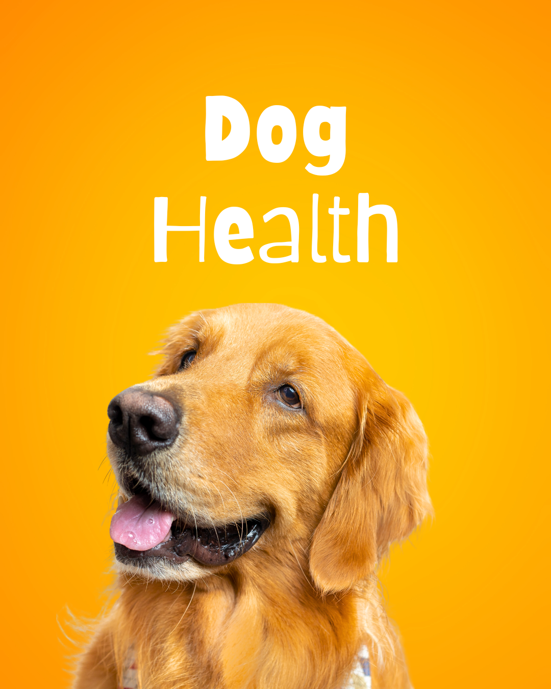 Little Lessons, Happier Pups