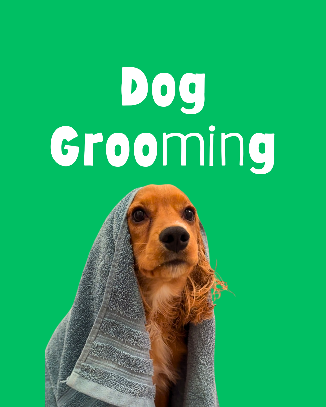 Dog Grooming