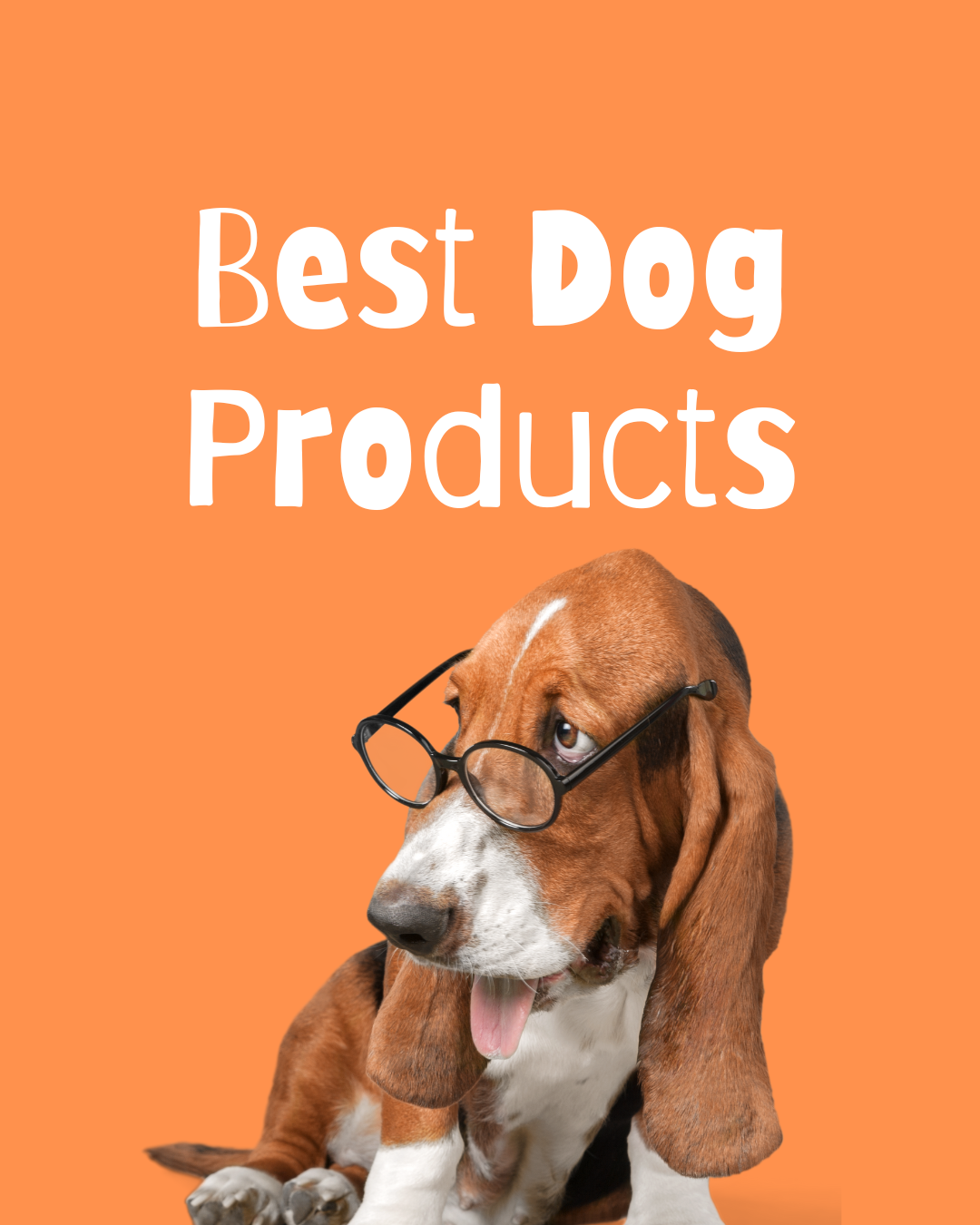 Dog Products & Reviews
