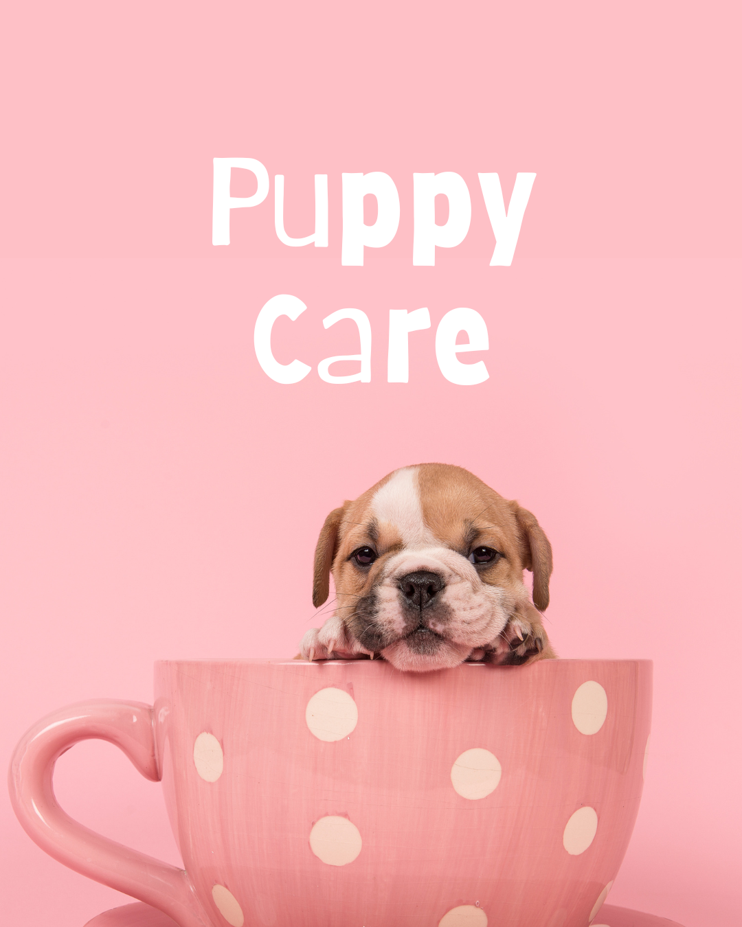 Puppy Care